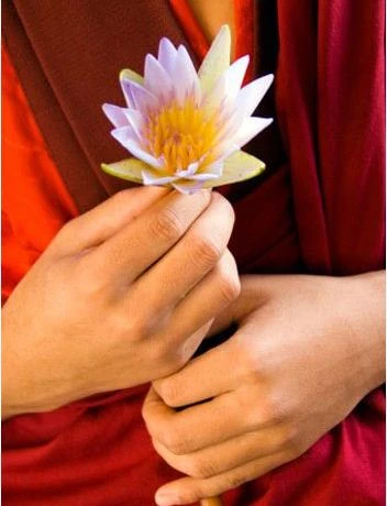 Bốn thứ che tâm